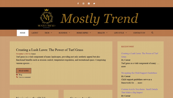 mostlytrend.com