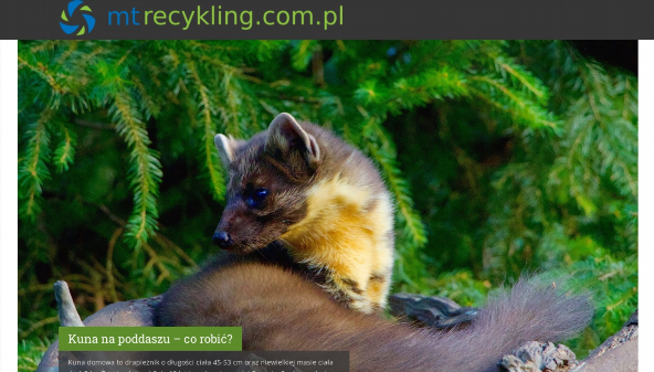 mtrecykling.com.pl
