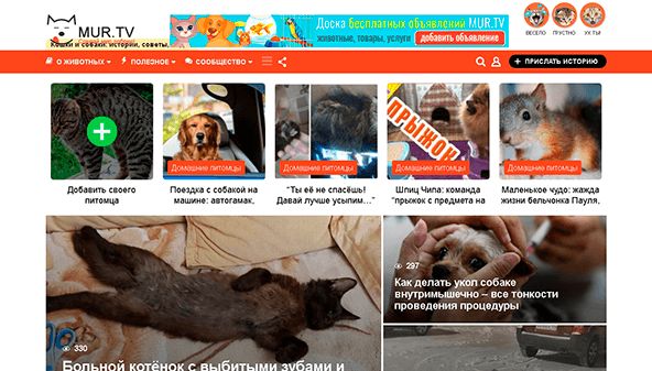 Мур TV (mur.tv)
