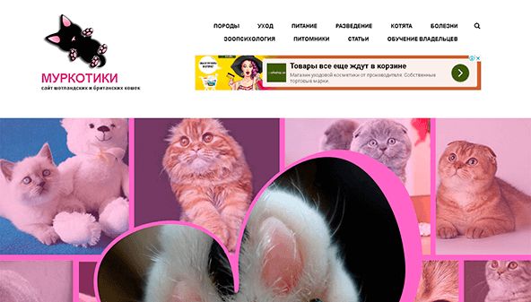 Murkotiki (murkotiki.com)
