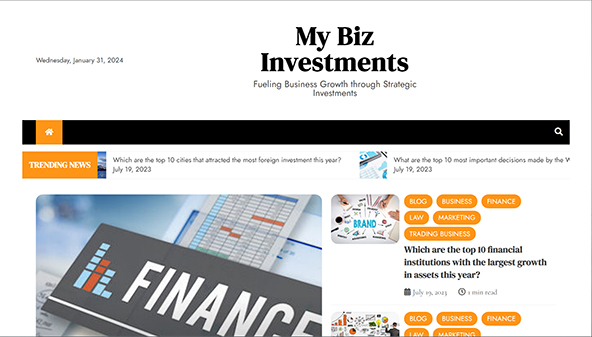 mybizinvestments.com