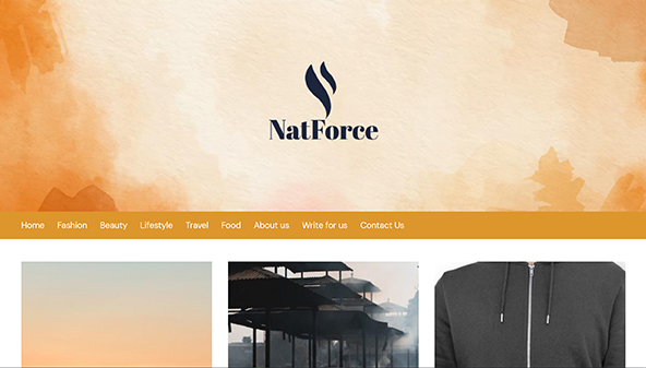 natforce.org