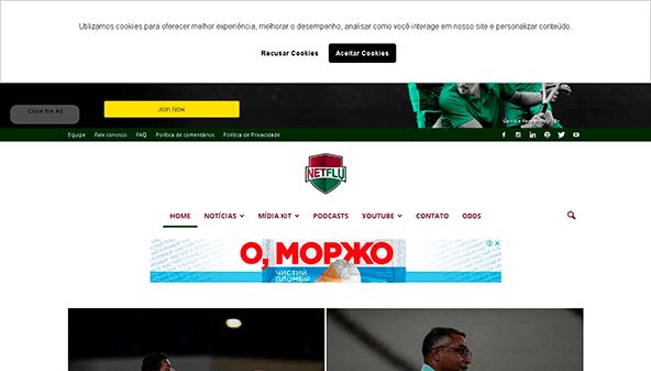 Netflu (netflu.com.br)