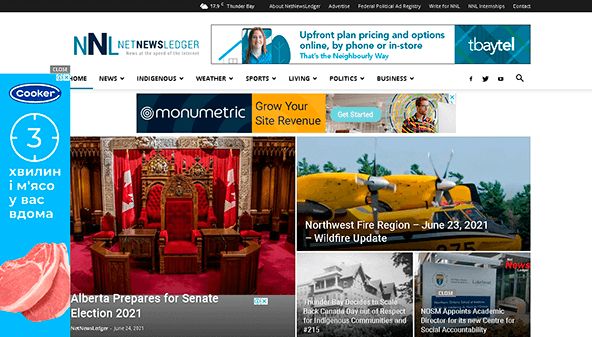 Net News Ledger (netnewsledger.com)