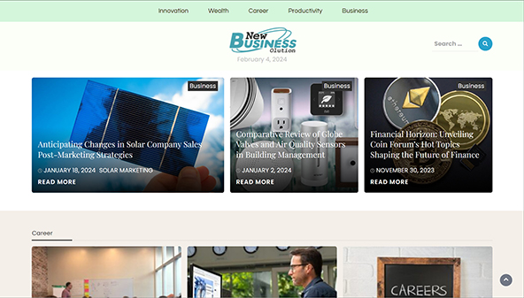 newbusinessolution.com
