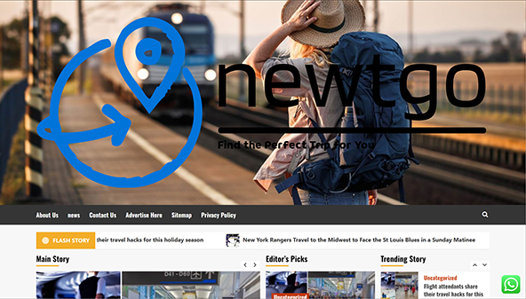 newtgo.com