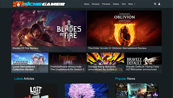 nichegamer.com