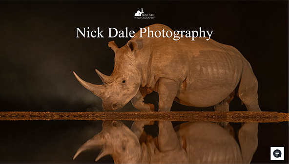 nickdalephotography.com