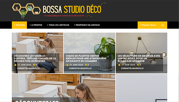 nouvellebossastudio.com