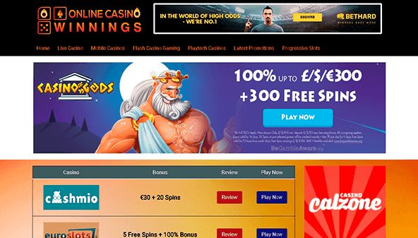 Vinster på online casino (online-casino-winnings.com)