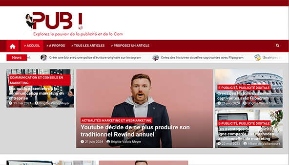 p-u-b.net