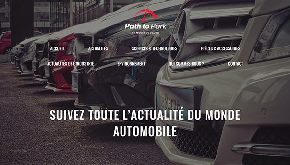 Droga do parku (pathtopark.fr)