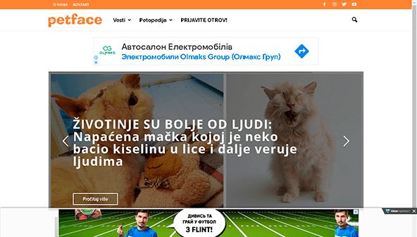 Visage de compagnie (petface.net)
