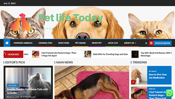 petlifetoday.my.id