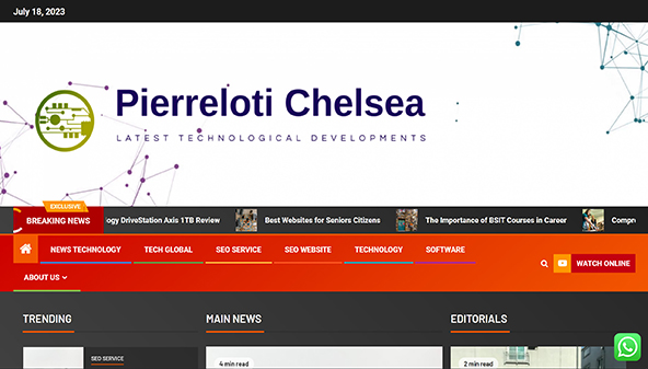 pierrelotichelsea.com