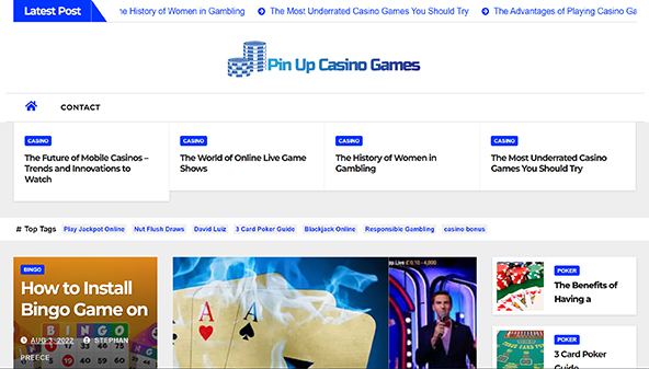 Pin up casino games (pinupcasinogames.com)
