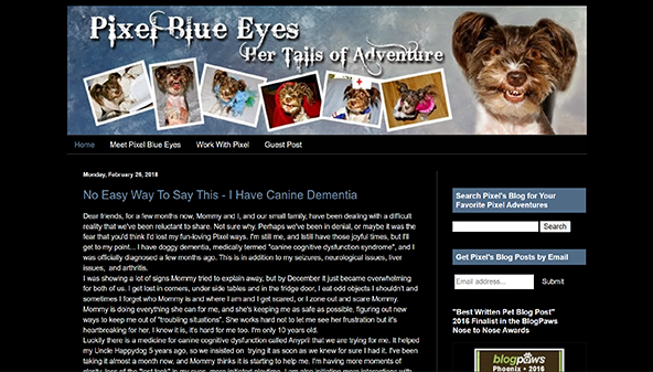 pixelblueeyes.com