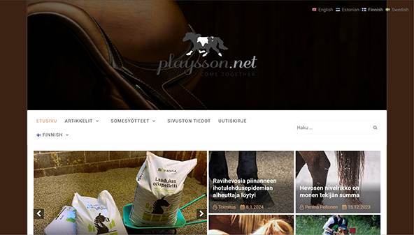 playsson.net