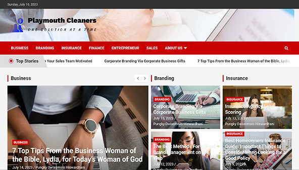 plymouth-cleaners.com