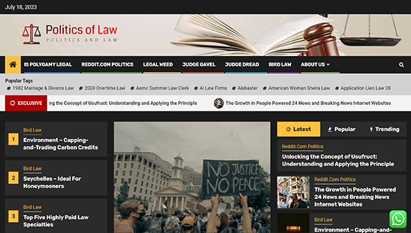 politicsoflaw.com