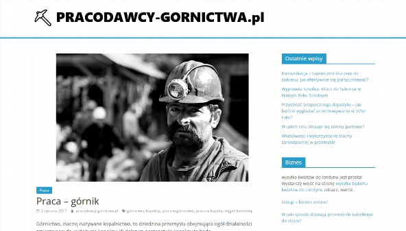 pracodawcy-gornictwa.pl