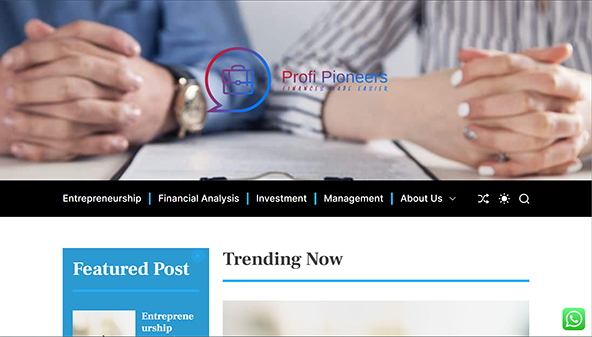 profipioneers.com
