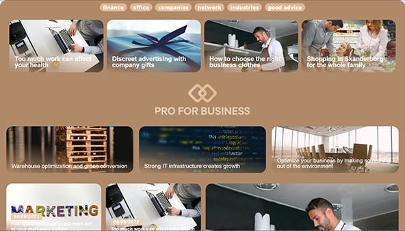 proforbusiness.com
