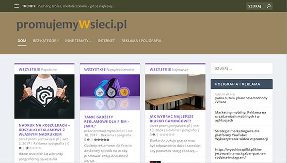 promujemywsieci.pl