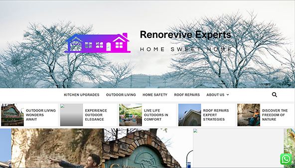 renoreviveexperts.com