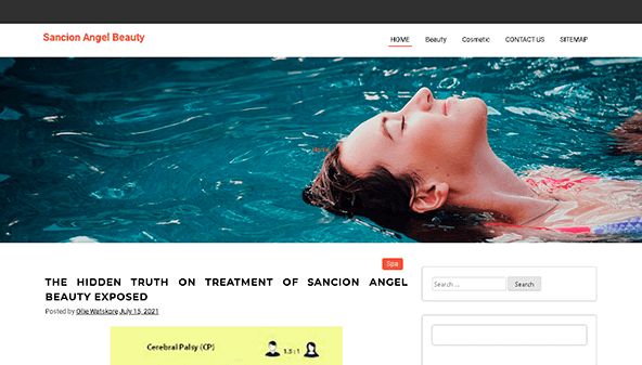 sancionangel.com