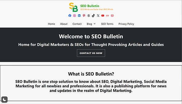 seo-bulletin.com