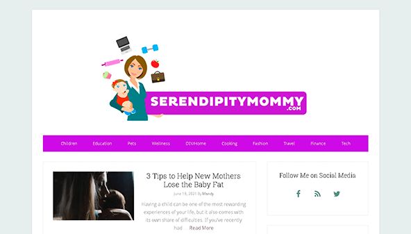 Serendipity Mommy (serendipitymommy.com)