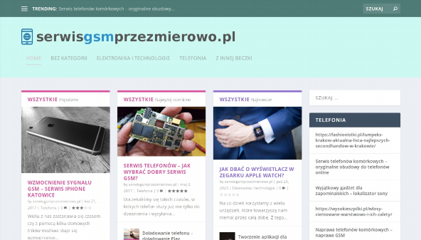 serwisgsmprzezmierowo.pl