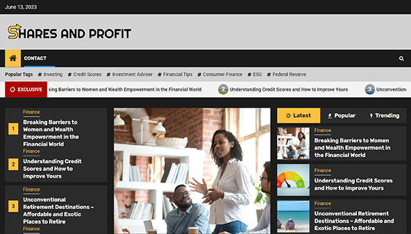 Akcje i zysk (sharesandprofit.com)