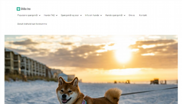 shiba-inu.dk