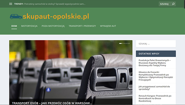 skupaut-opolskie.pl
