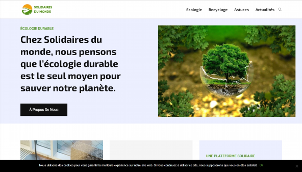 solidairesdumonde.org