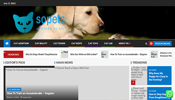 sopets.my.id
