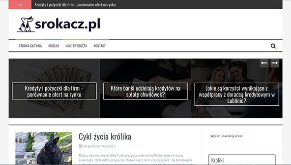 srokacz.pl