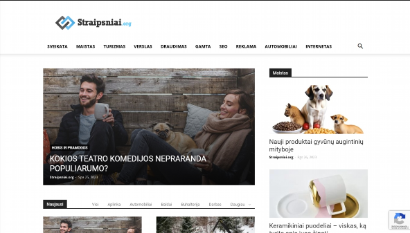 straipsniai.org