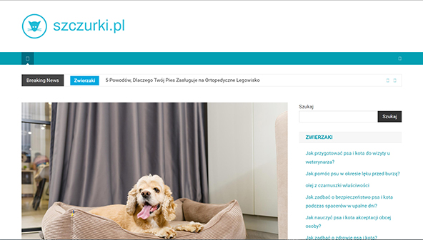 szczurki.pl