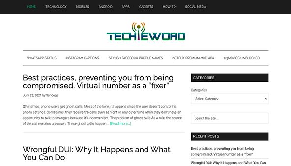 Techie szó (techieword.com)