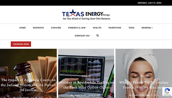 texasenergystorage.org