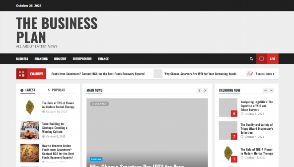 the-business-plan.com