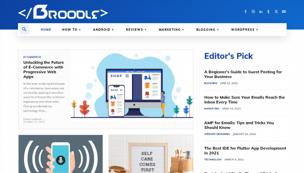 thebroodle.com