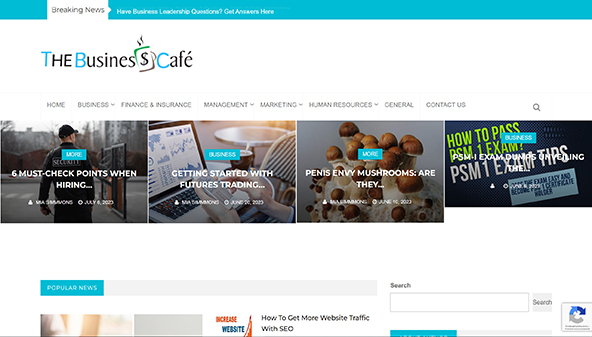thebusinesscafe.ca