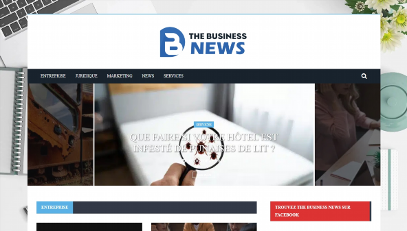 thebusinessnews.net