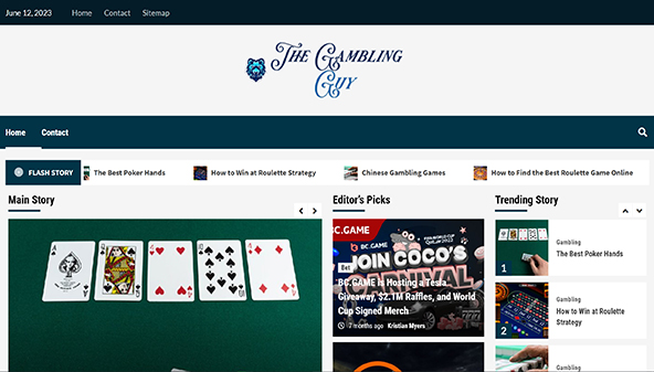The gambling guy (thegamblingguy.com)