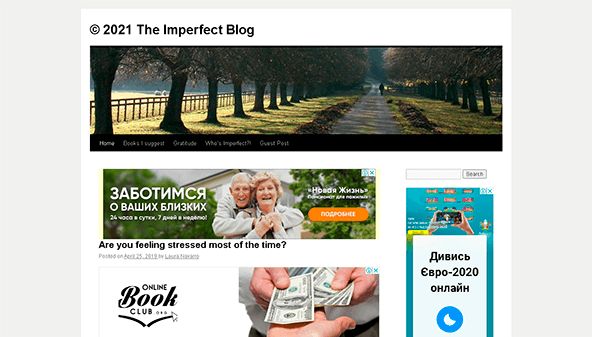 Den ofullkomliga bloggen (theimperfectblog.com)