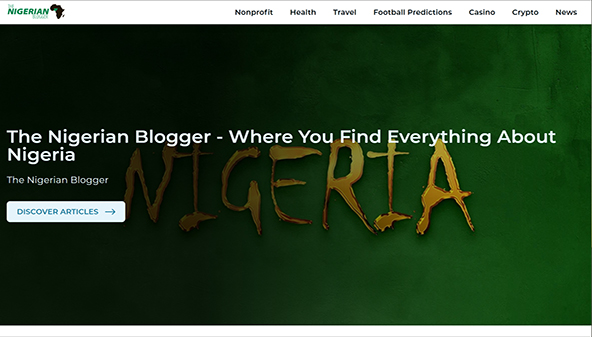 thenigerianblogger.com